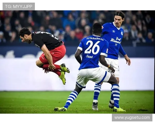 沙尔克新赛季目标明确，实力提升显著备受关注，力争德甲前列定位