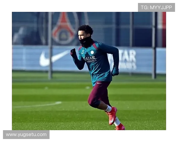 扎伊尔埃梅里比赛阅读